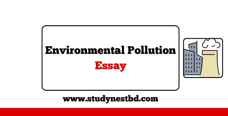Environmental Pollution Essay