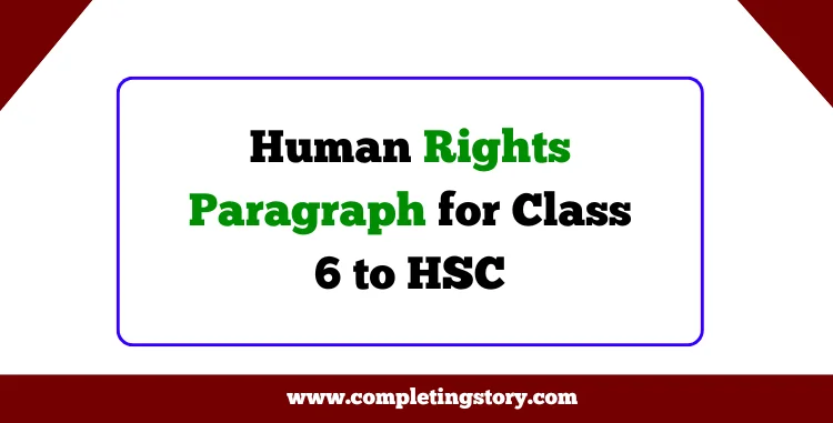 Human Rights Paragraph for Class 6 to HSC
